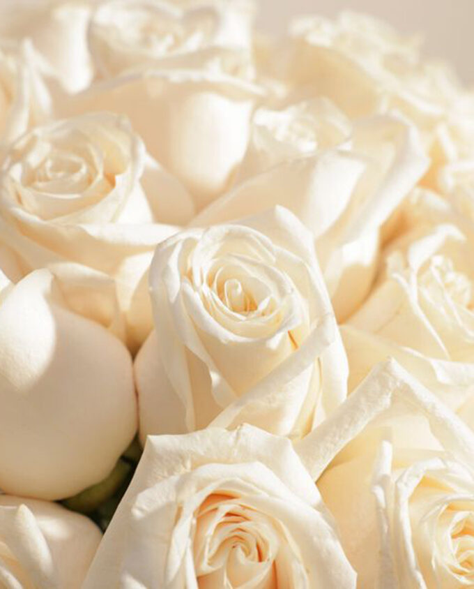 Healing Petals Hand Bouquet - Image 2