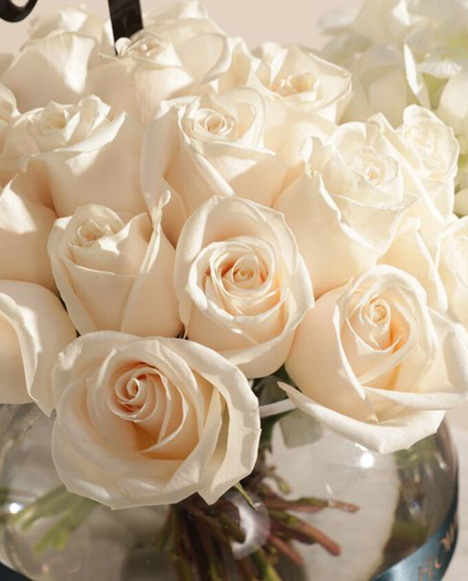 Blush of Hope Rose Wrap - Image 2