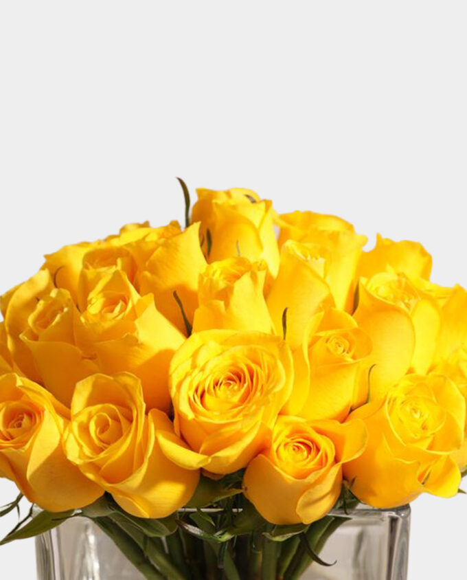 timeless white rose vase - Image 2