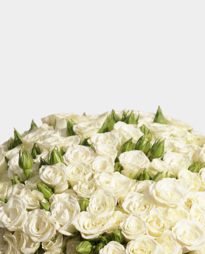 pure baby rose vase