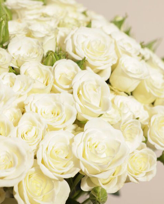 pure baby rose vase - Image 2