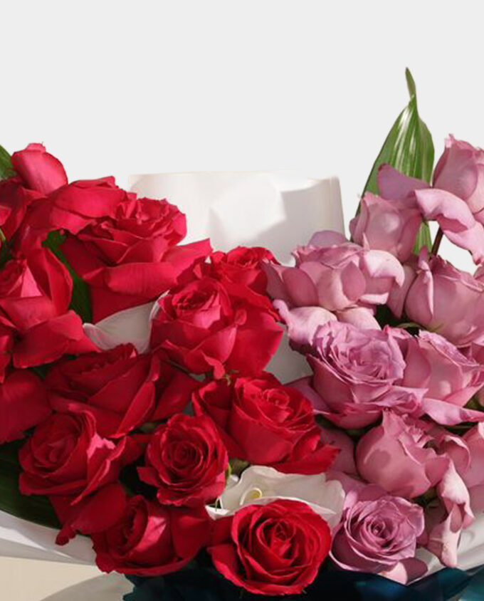 carolina bloom & beauty set - Image 2