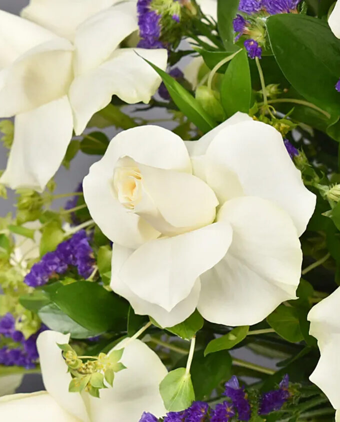 teddy rose hug bouquet - Image 2