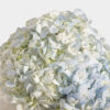 Blue Tranquility Hydrangea Vase - Image 2