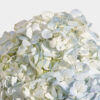 Blue Tranquility Hydrangea Vase - Image 3