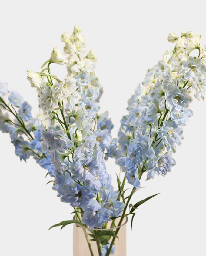 birthday splash floral vase