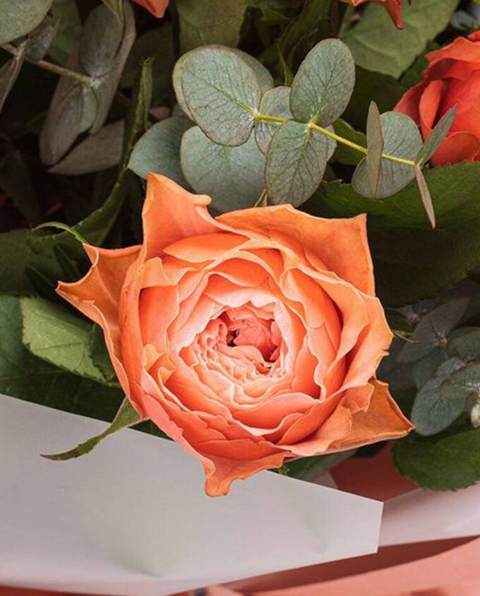 gentle bloom wellness vase - Image 2