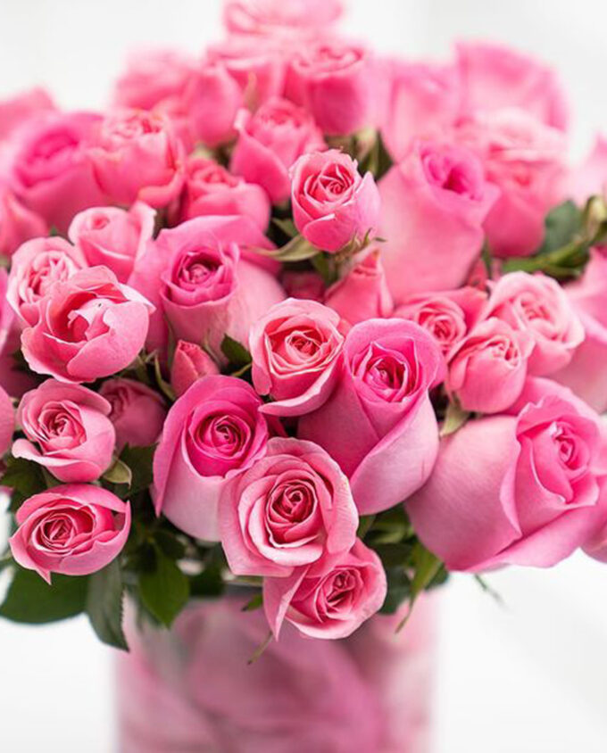 devotion in bloom heart