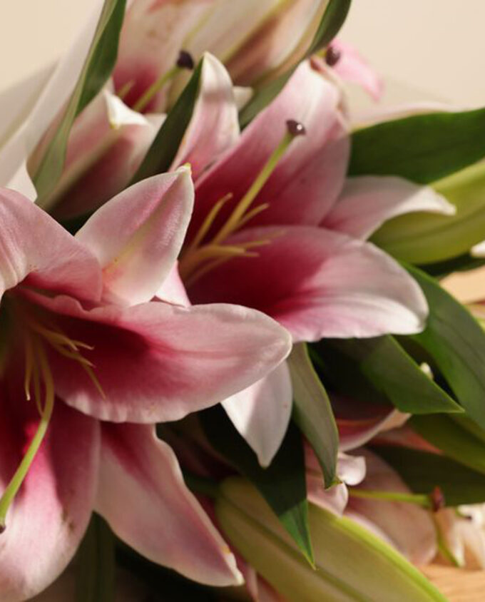 dreamlight pink lily bouquet