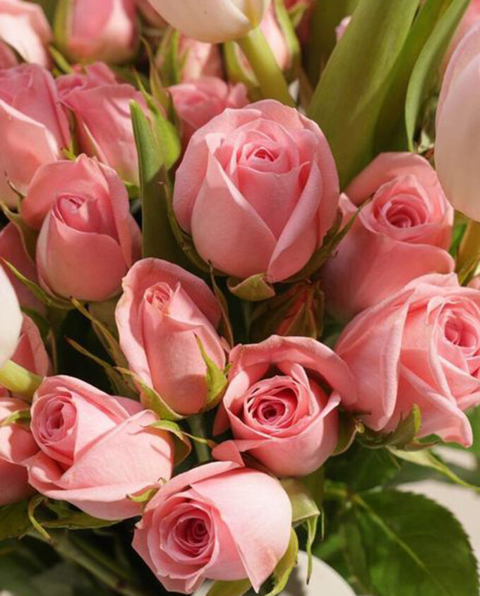 sunlit baby rose bloom vase