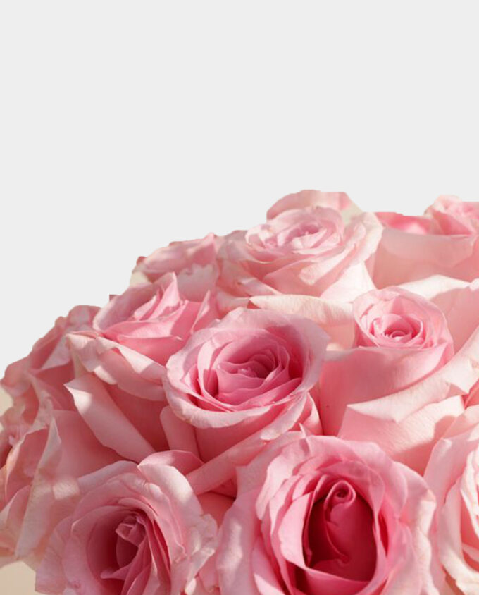 Blushing Beauty Rose Vase - Image 2