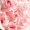 Blushing Elegance Rose Bouquet - Image 2