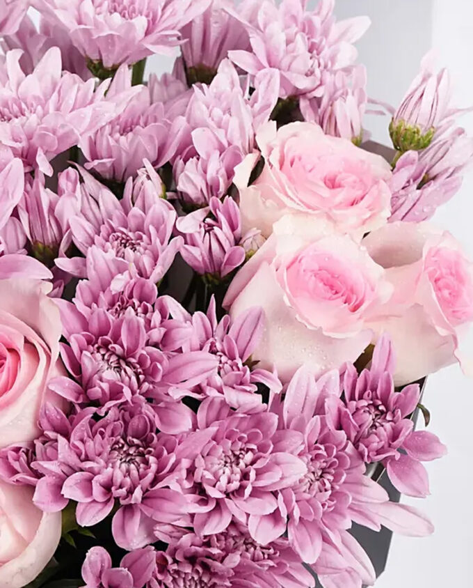 tulip glass blush