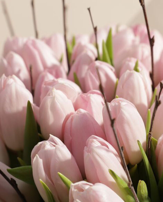 spring laughter bloom vase
