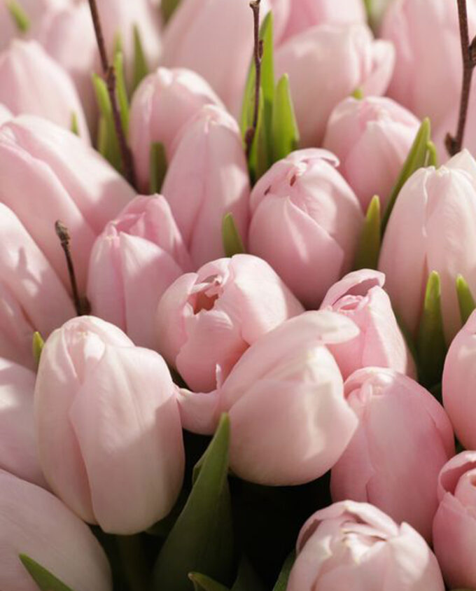 spring laughter bloom vase - Image 2