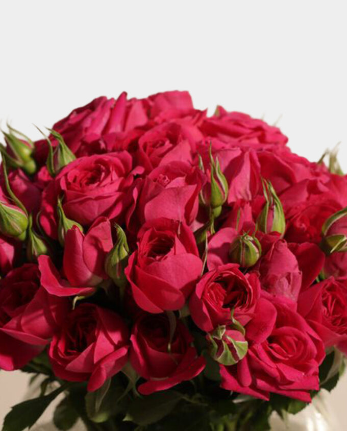 hydrangea elegance bloom vase