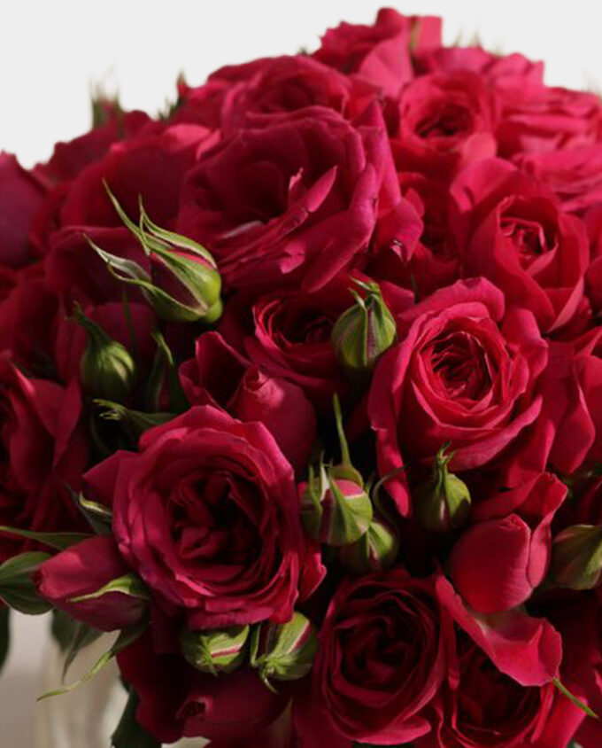 hydrangea elegance bloom vase - Image 2