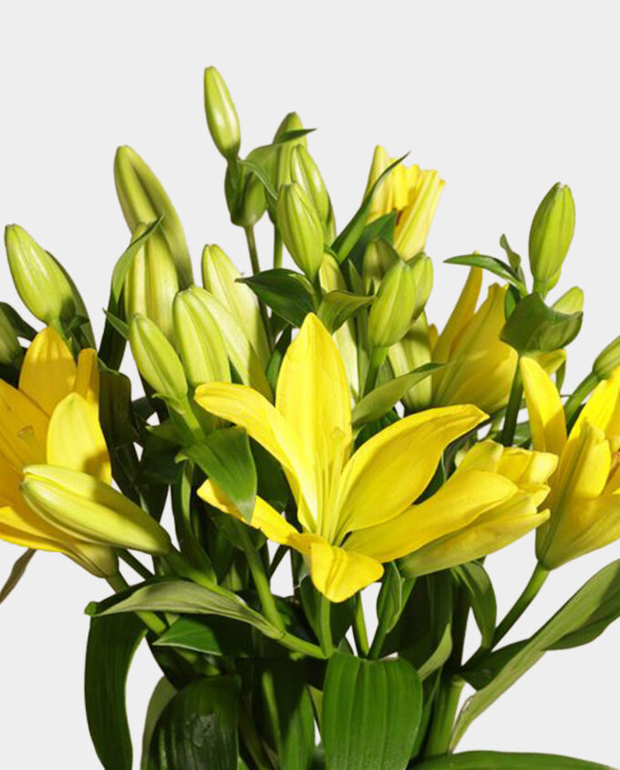 mubkhar scent & petal vase