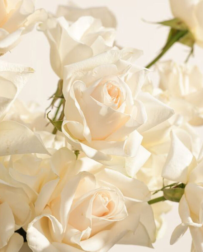 white blossom garden vase