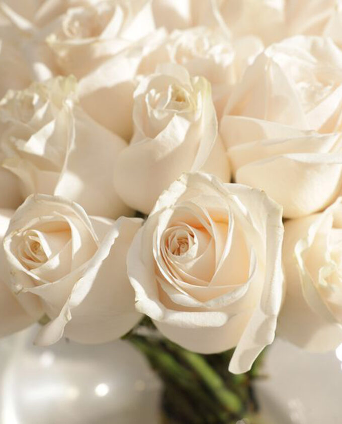 golden charm & magical blooms - Image 2