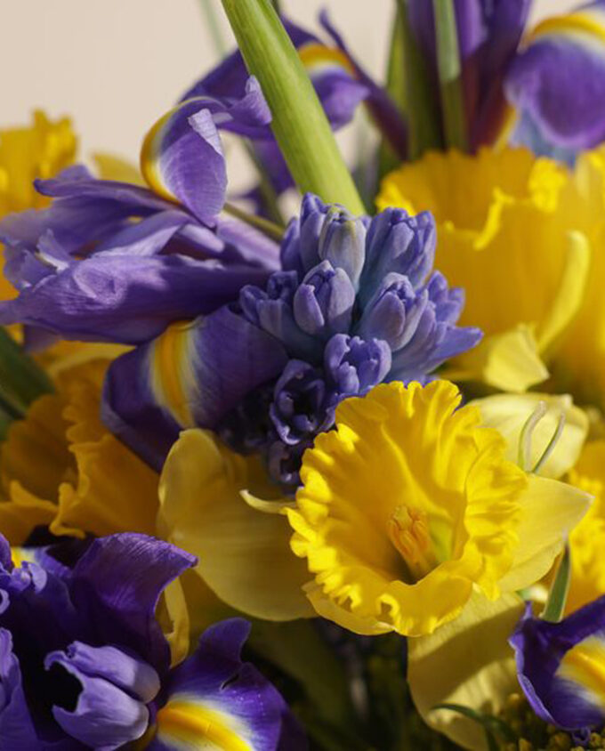 melody of spring bouquet