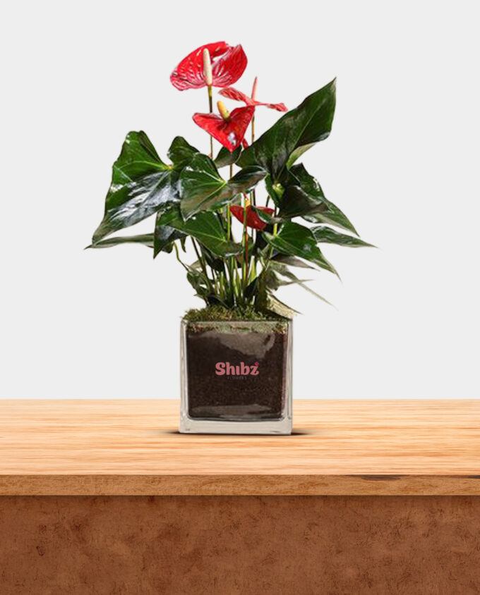 crimson charm plant vase - Image 3