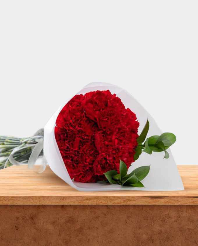 Crimson Devotion Carnation Bouquet