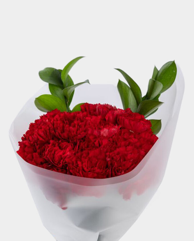Crimson Devotion Carnation Bouquet - Image 2