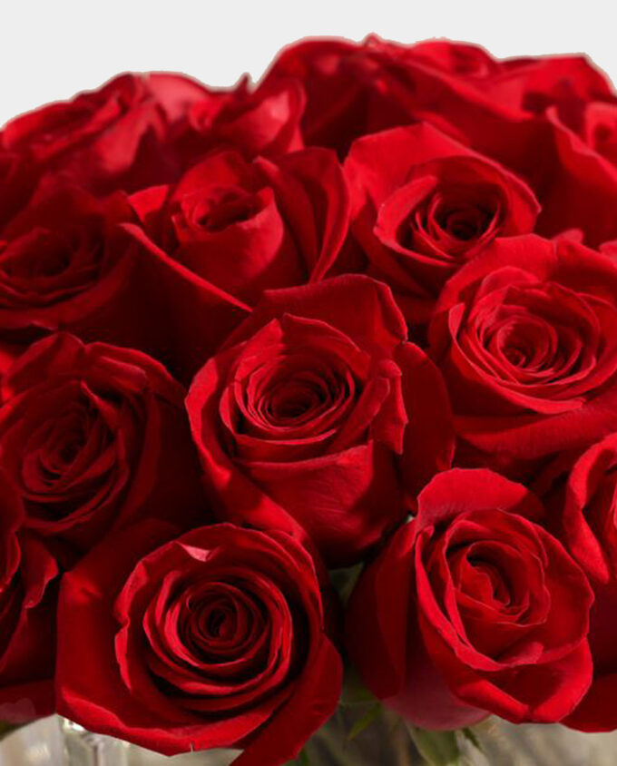 Crimson Elegance Rose Vase - Image 2