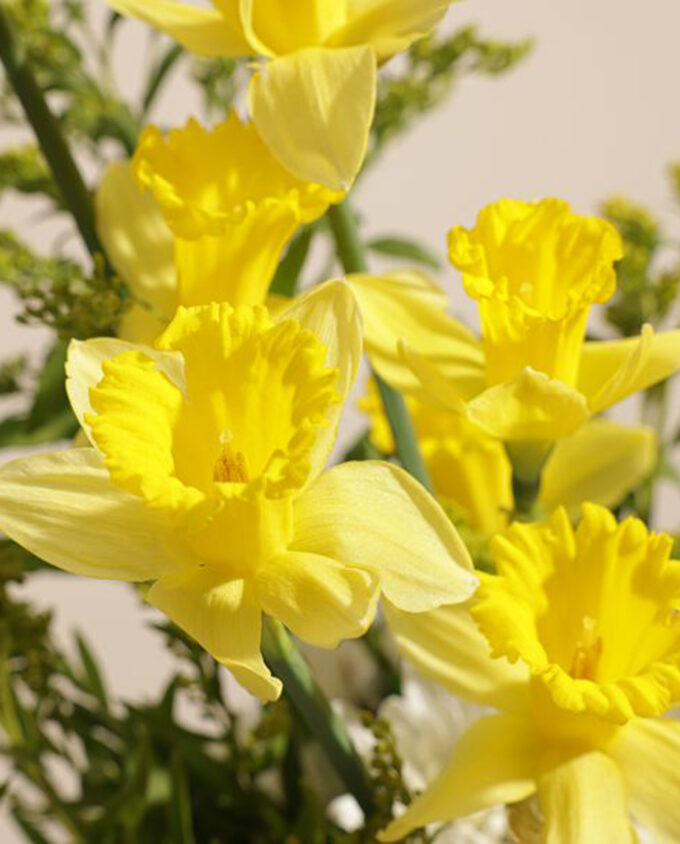 sunlit joy flower vase