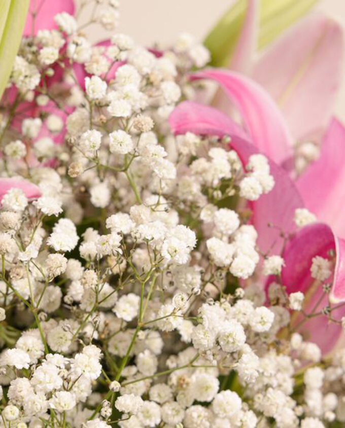 gentle baby rose bunch