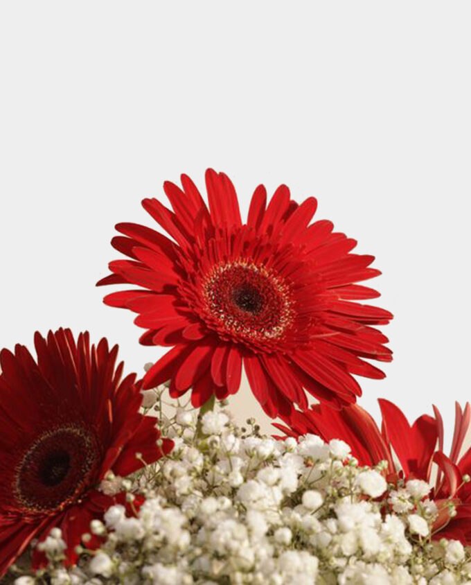 golden initial bloom set - Image 2