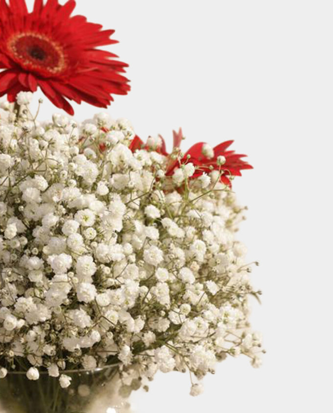 golden initial bloom set - Image 3