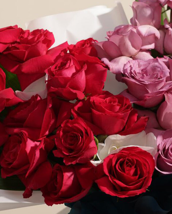 timeless grace gift set