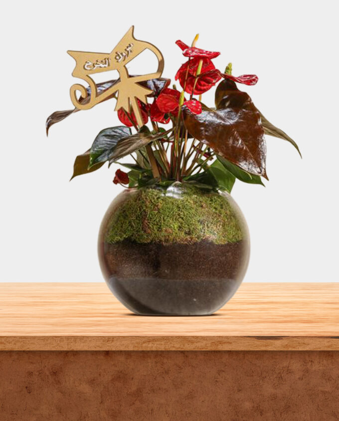 enduring affection plant pot - Image 3