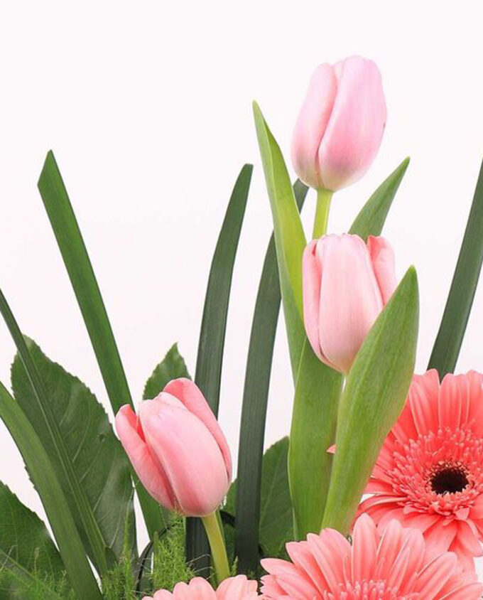 Essence of Bloom Vase - Image 2