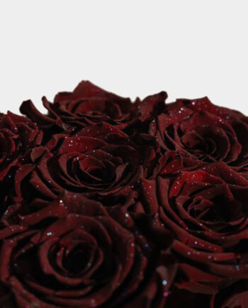 eternal devotion rose box