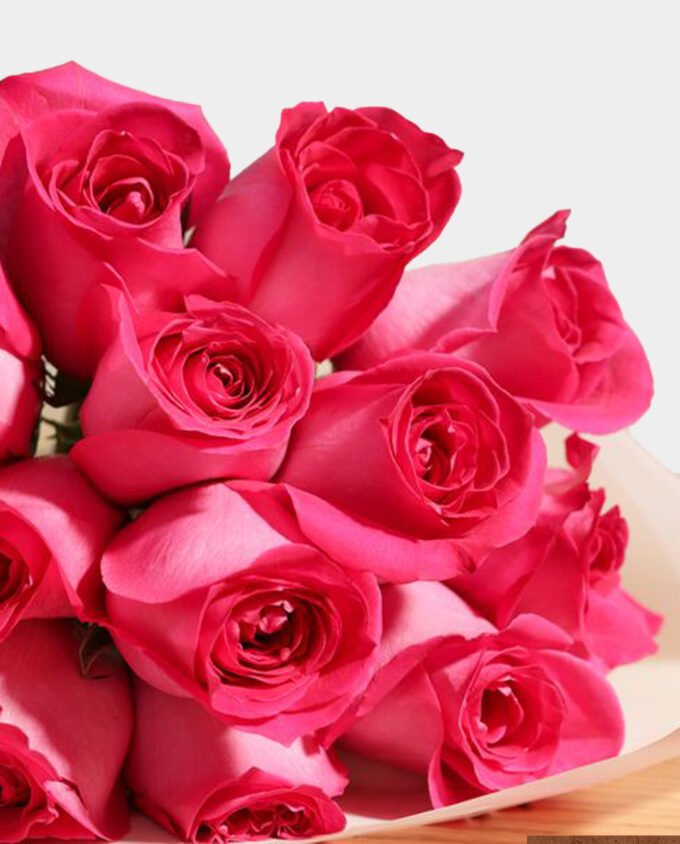 fuchsia elegance vase