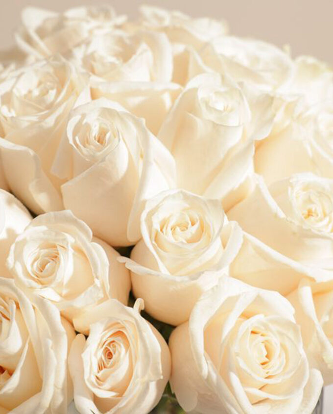 charming ivory rose box - Image 2