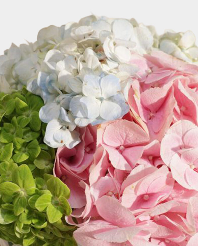 Garden Haze Hydrangea Vase - Image 2
