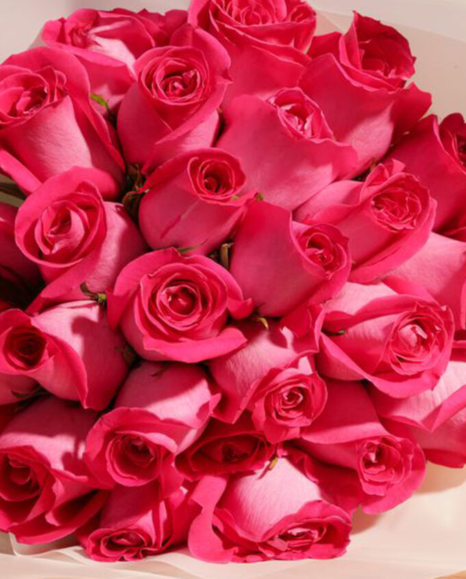 roofa care & rose collection