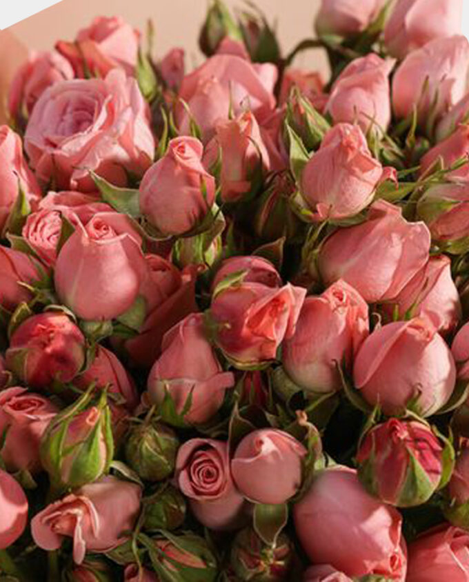 graceful rose revival bouquet