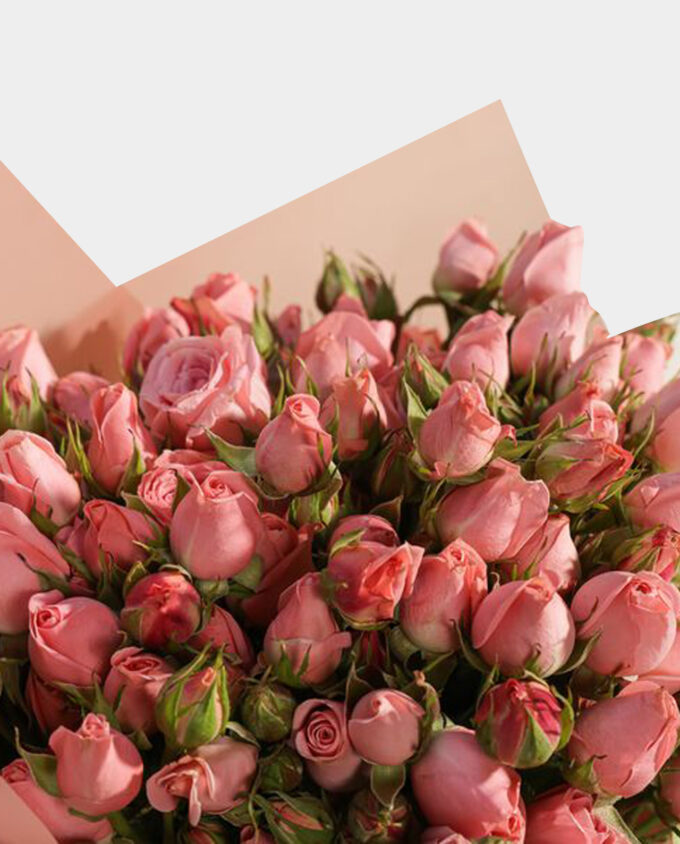 graceful rose revival bouquet - Image 2