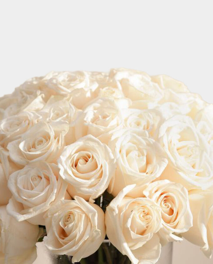 white whisper vase