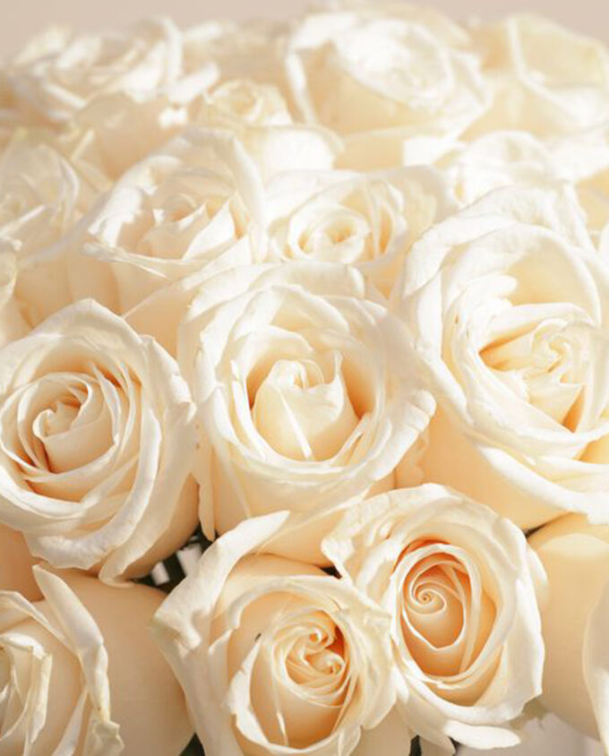 white whisper vase - Image 2