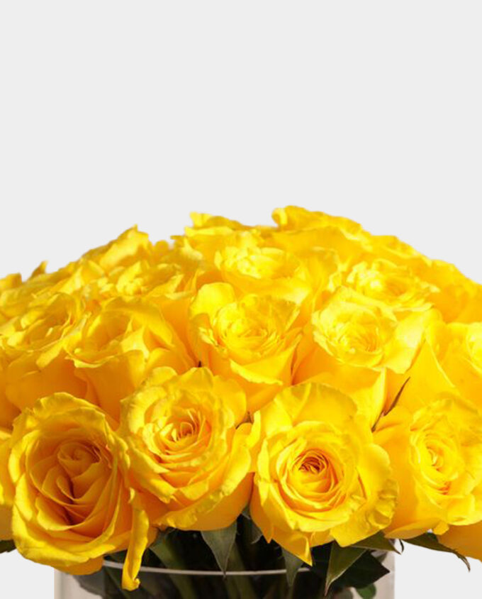sunflower cheer recovery vase