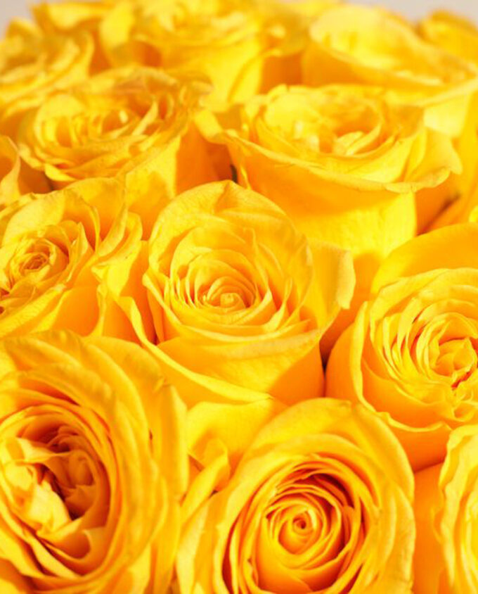 amber glow rose vase
