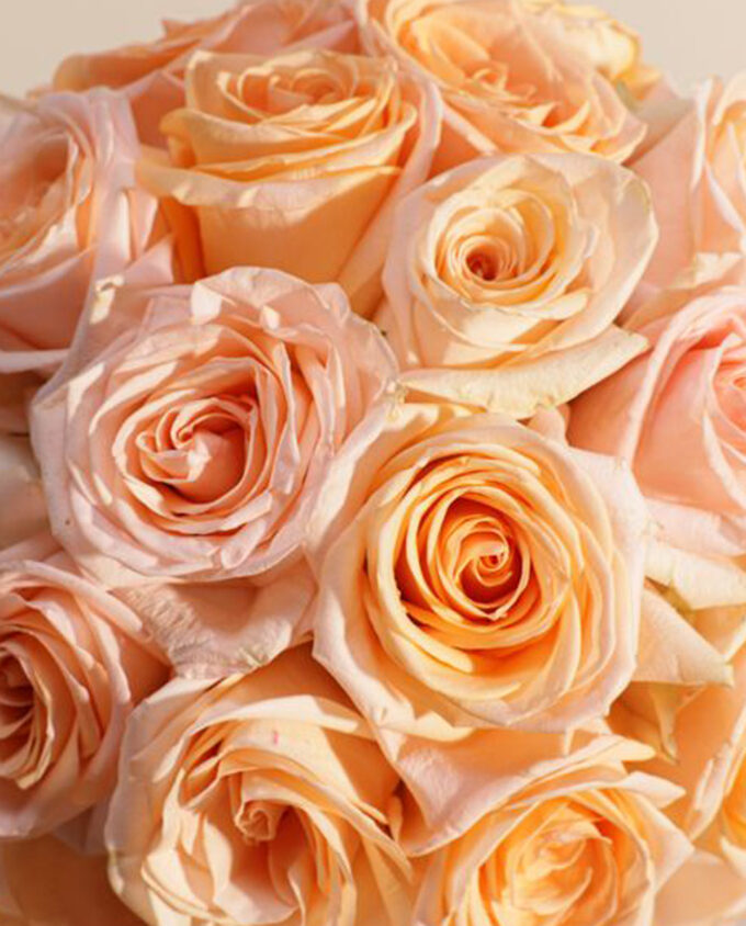 blooming breeze bouquet - Image 2