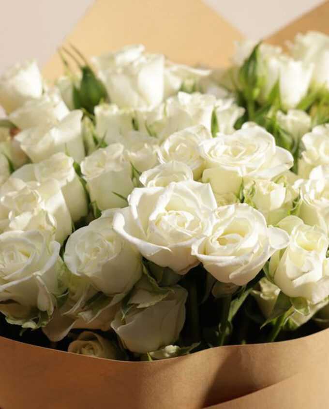 white rose elegance vase