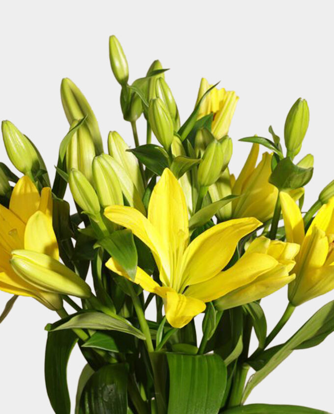 peace lily charm vase - Image 2